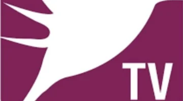 نزل التردد الجديد لقناة Murex TV اللبنانية على نايل سات 2026